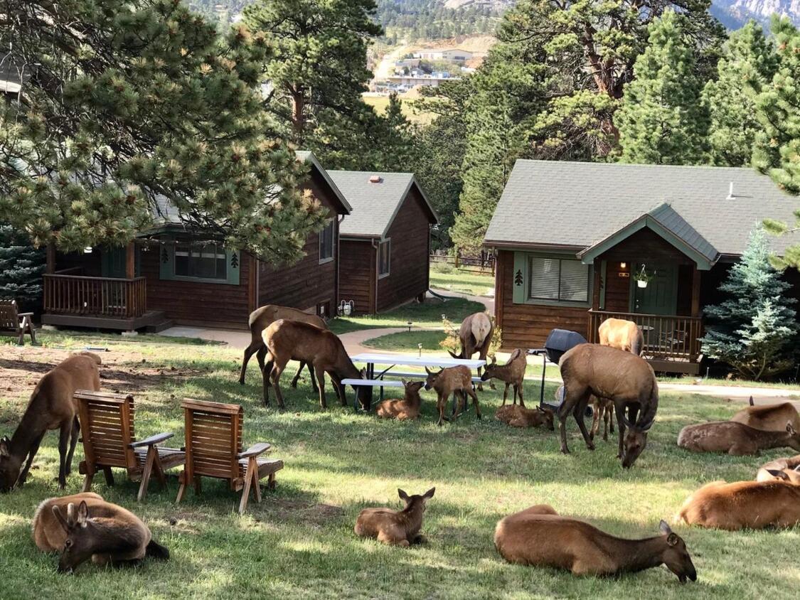 Mountain Shadows Resort 埃斯蒂斯帕克 外观 照片