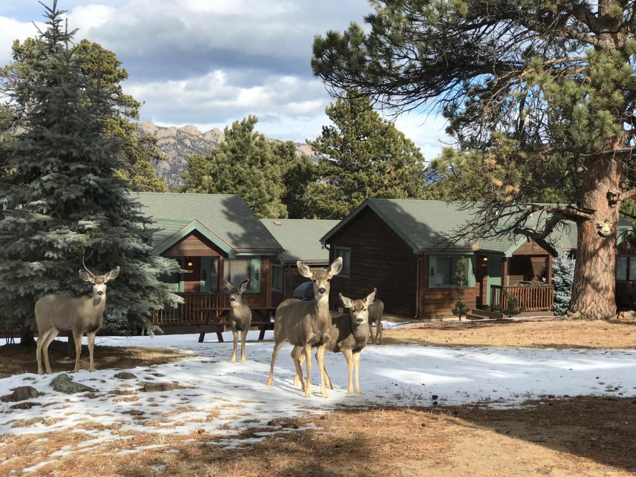 Mountain Shadows Resort 埃斯蒂斯帕克 外观 照片